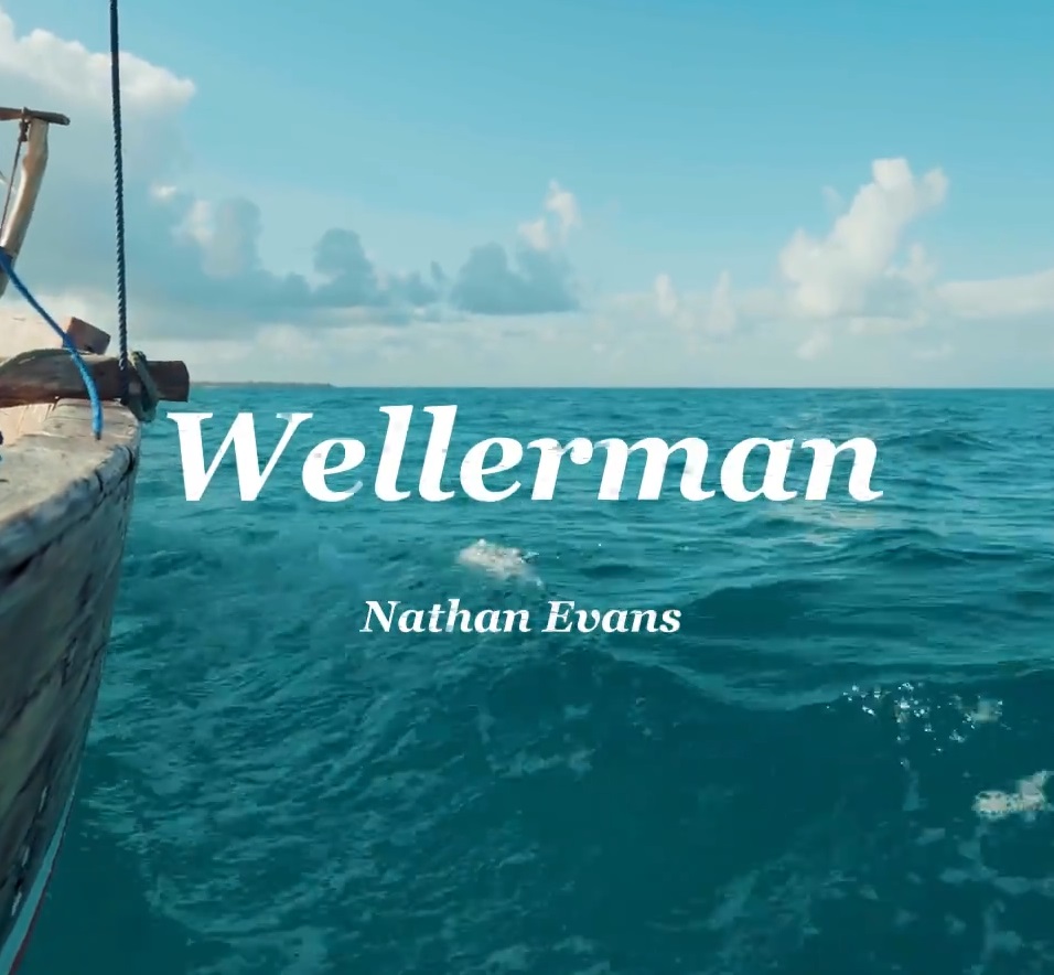 wellerman(sea shanty)——Nathan Evans