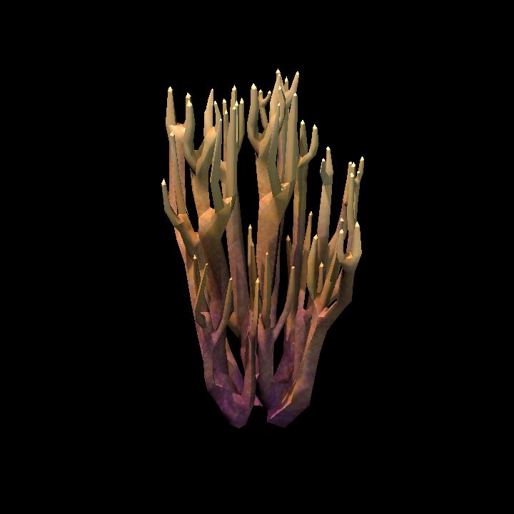 DA_CoralBranch4_2a