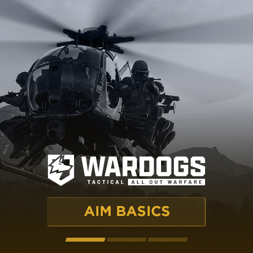 WARDOGS Aim Basics
