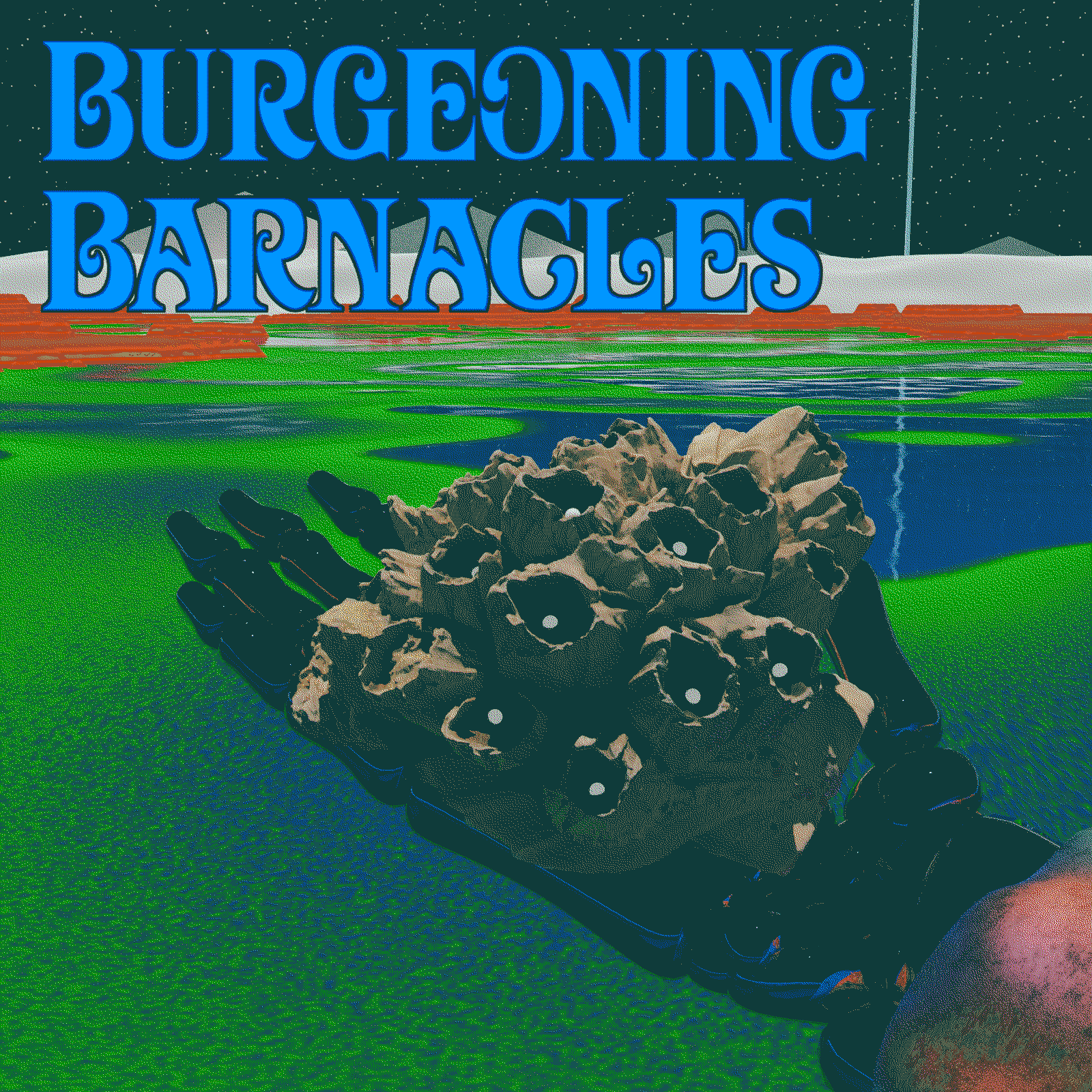 Burgeoning Barnacles