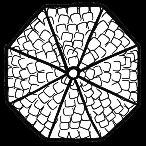 roof29