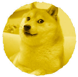 Doge Cookie