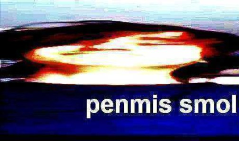 penmis