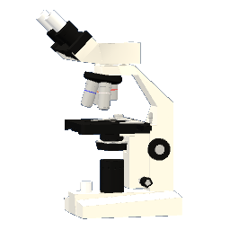 Microscope