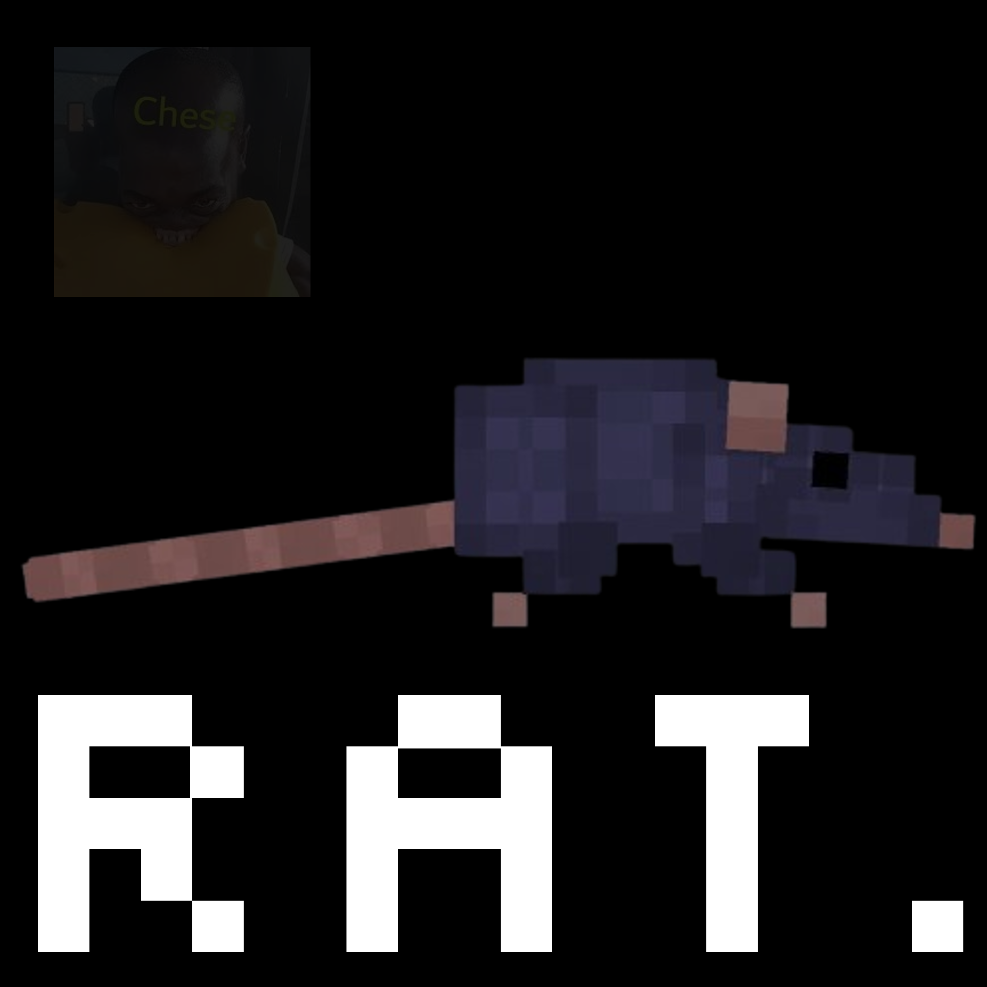 Rat