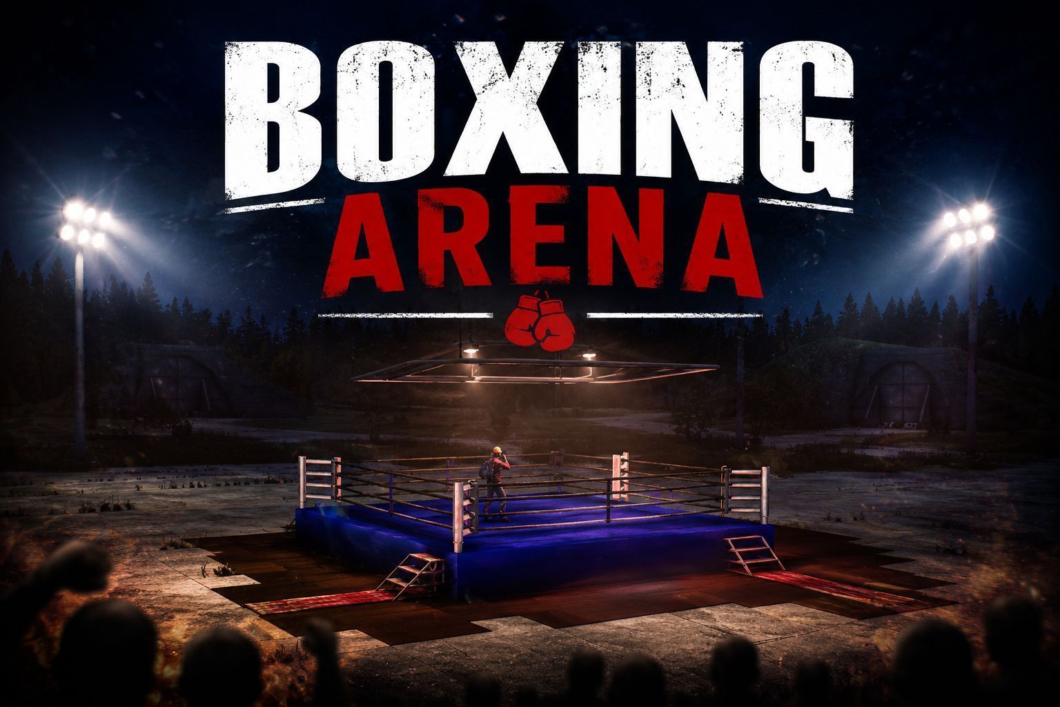 MD BOXING ARENA