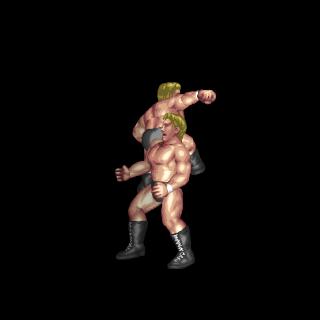 ダイビングヒップアタックB / Diving Hip Attack B