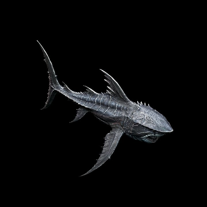 Coralith Shark