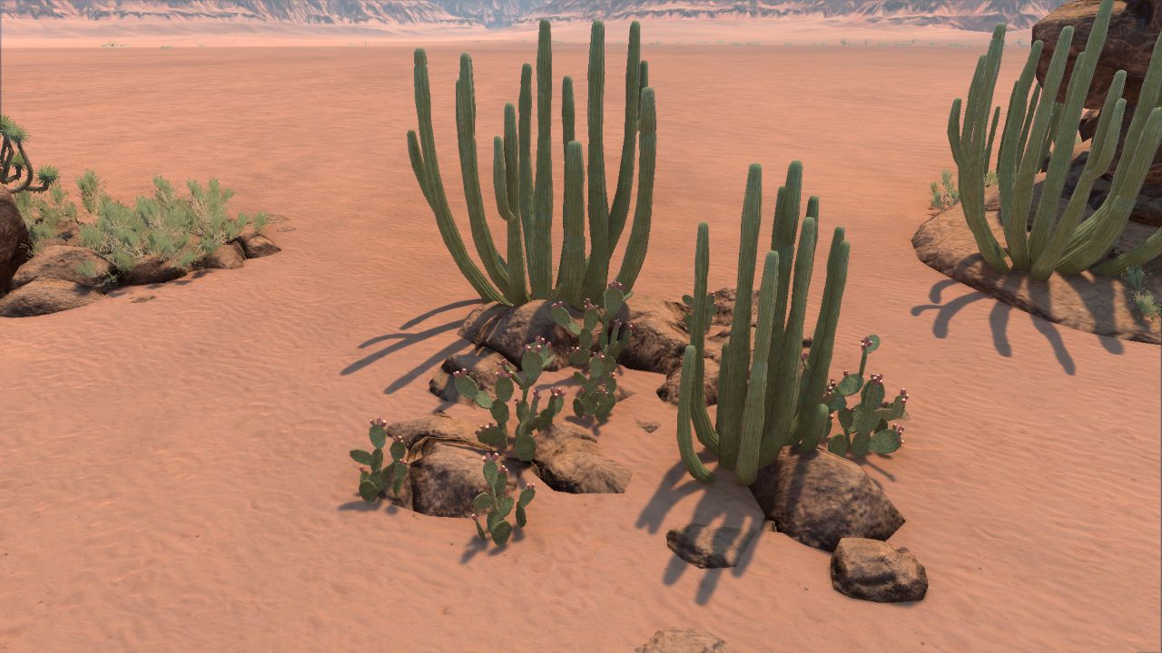 Desert cluster