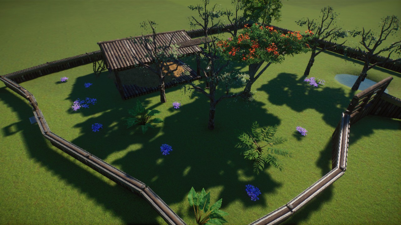 Koala habitat
