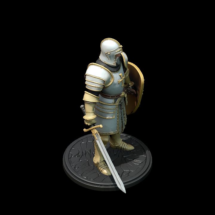 Trimesia knight Captain