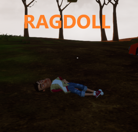 AdultNickyRagdoll