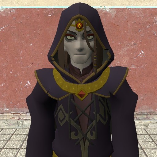 Astor (HW: Age of Calamity) Playermodel