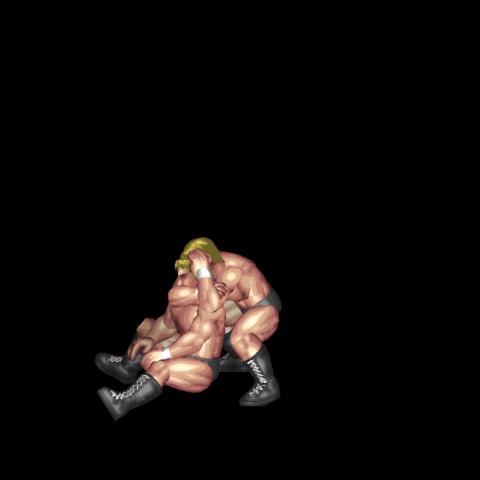 Shibata's PK