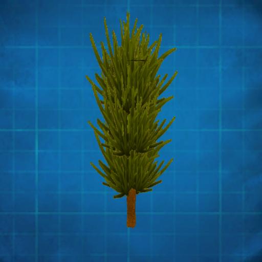 Cypress tree