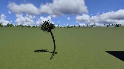 palm1