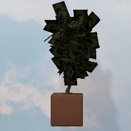 plantpot