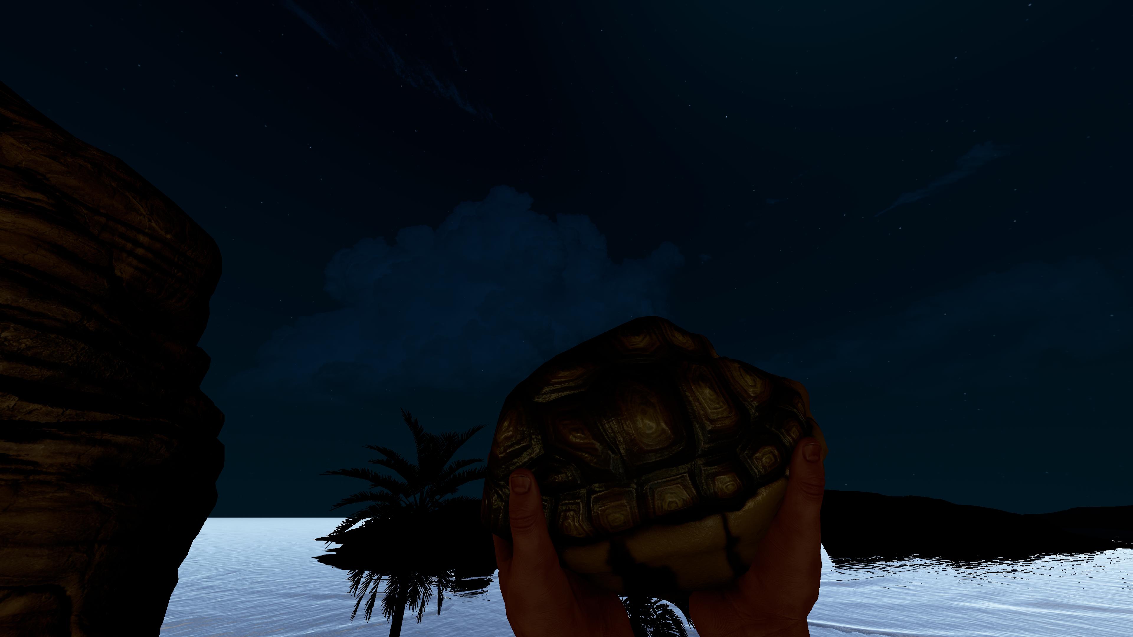 Tortoise Rock thumbnail 7