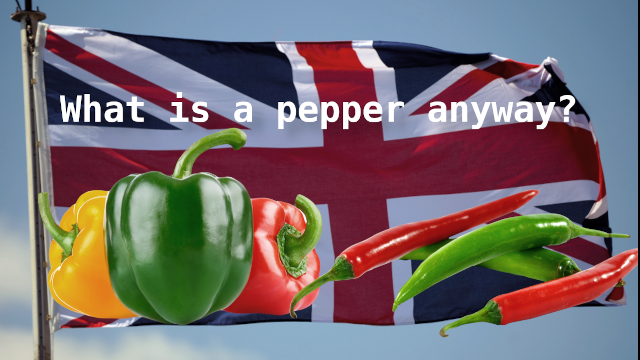What is a pepper anyway?