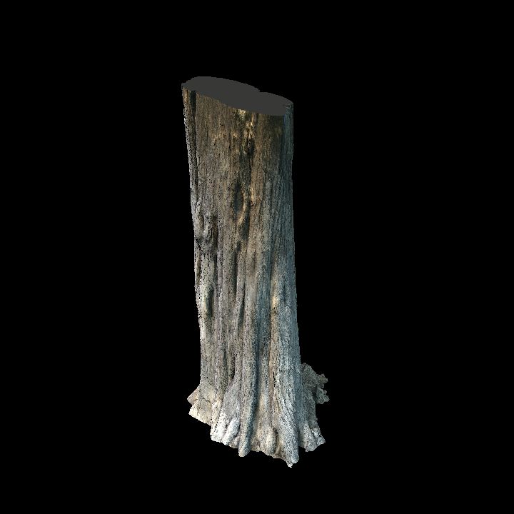 Tree Stump Large