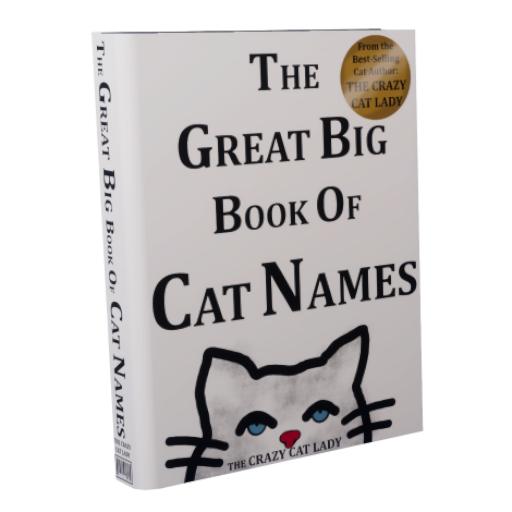 THE GREAT BIG BOOK OF CAT NAMES