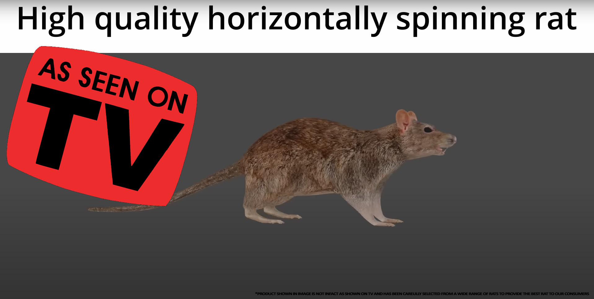 High Quality Spinning Rat