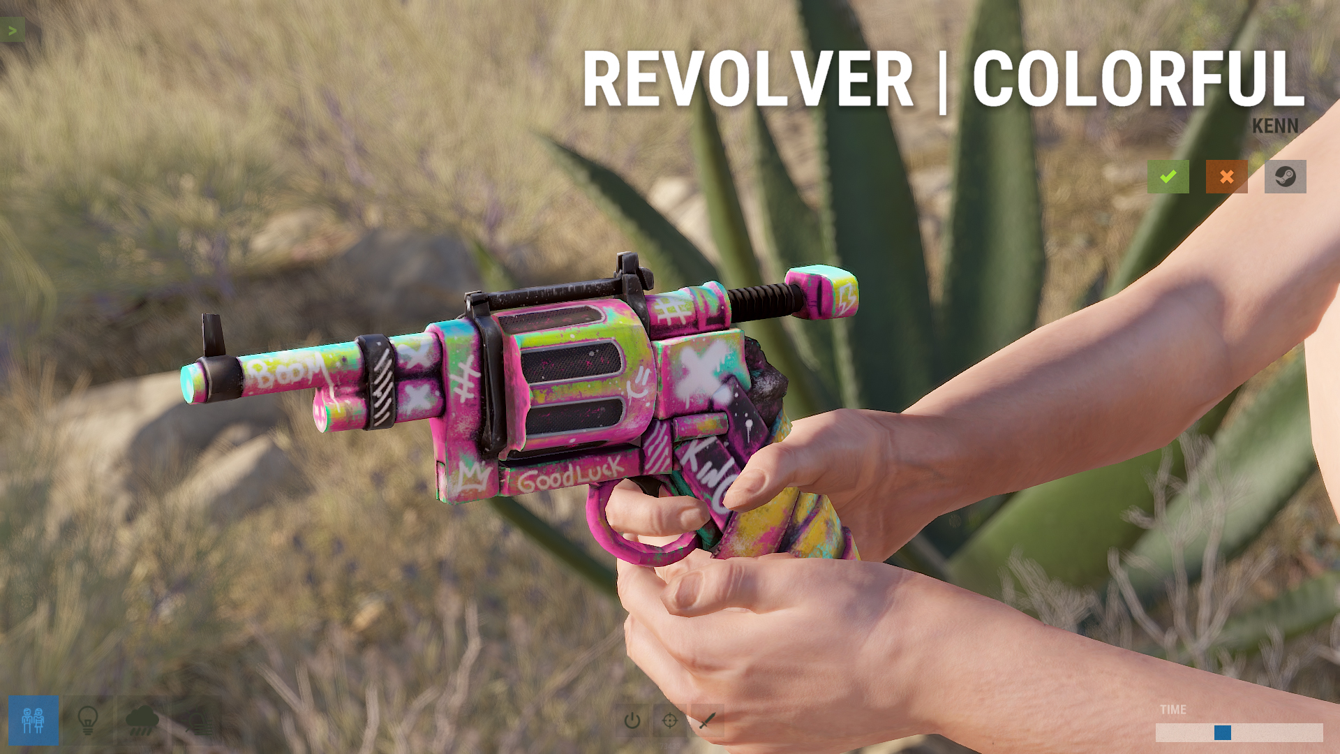 Colorful Revolver