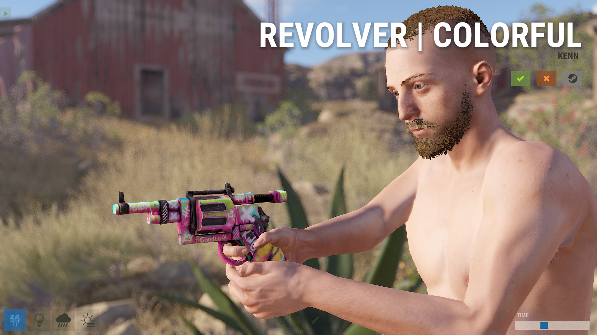 Colorful Revolver