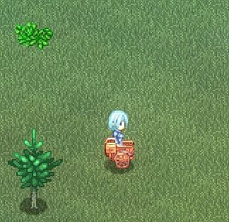 Wagon Riding Graphic
