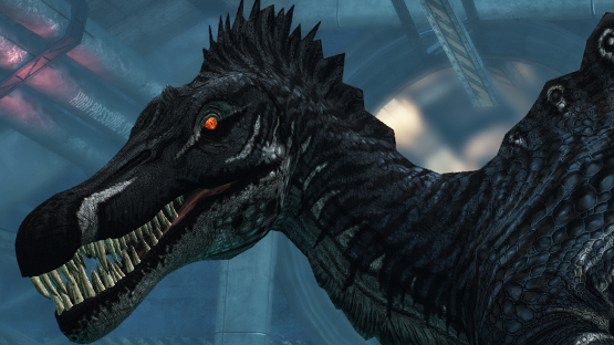 Arctic wave Spino (Winter 2022)