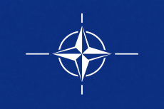 Arvik to NATO
