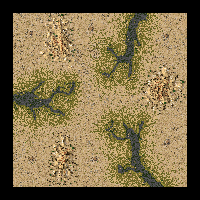 Desert Kingdoms