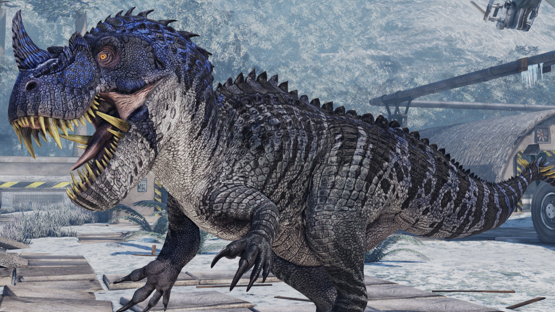Aculeo Cera (Mut+Skin) (Winter 2021)