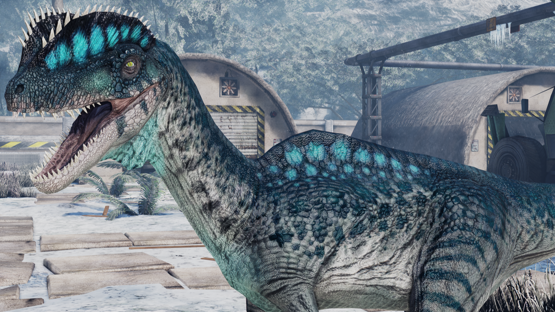 Droseraceae Dilo (Mut+Skin) (Winter 2021)