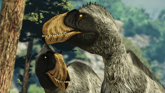 Feathered Shoebill Acro (Autumn 2021)
