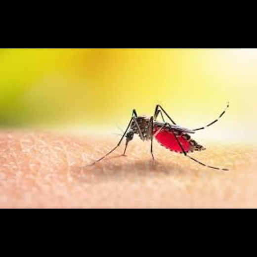 Dumb Malaria Nerf Tweak