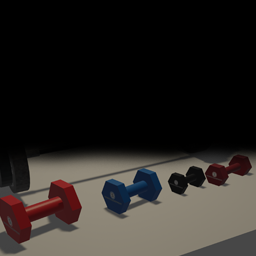 Dumbbell Small Size