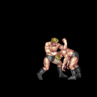 Pro-Wrestling Elbow