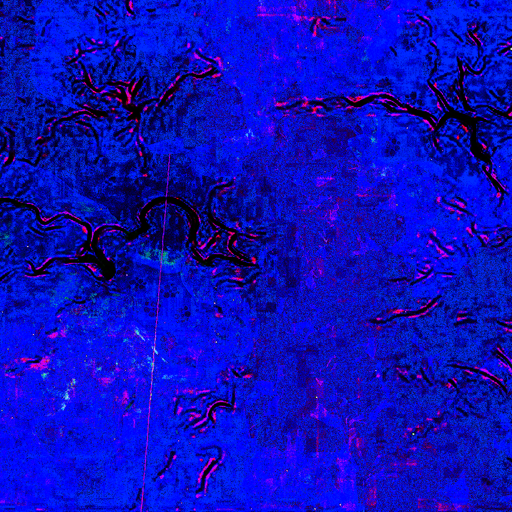 THE ROOTS HAVE SPLIT MY Gwert