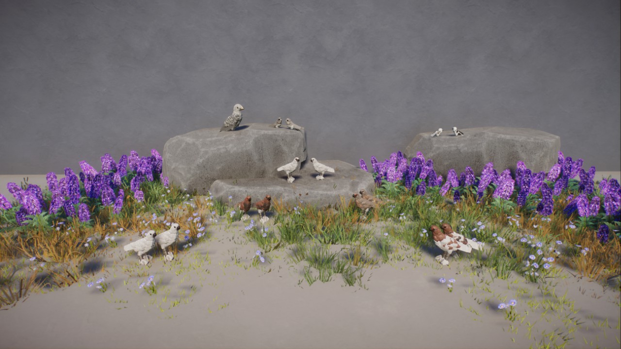 Rick's European Tundra Birds preview