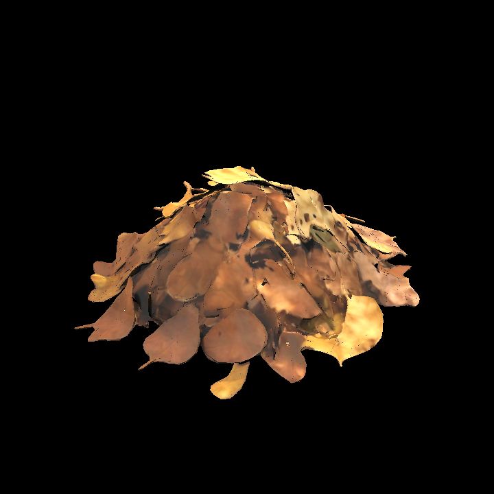 Leaf litter 2
