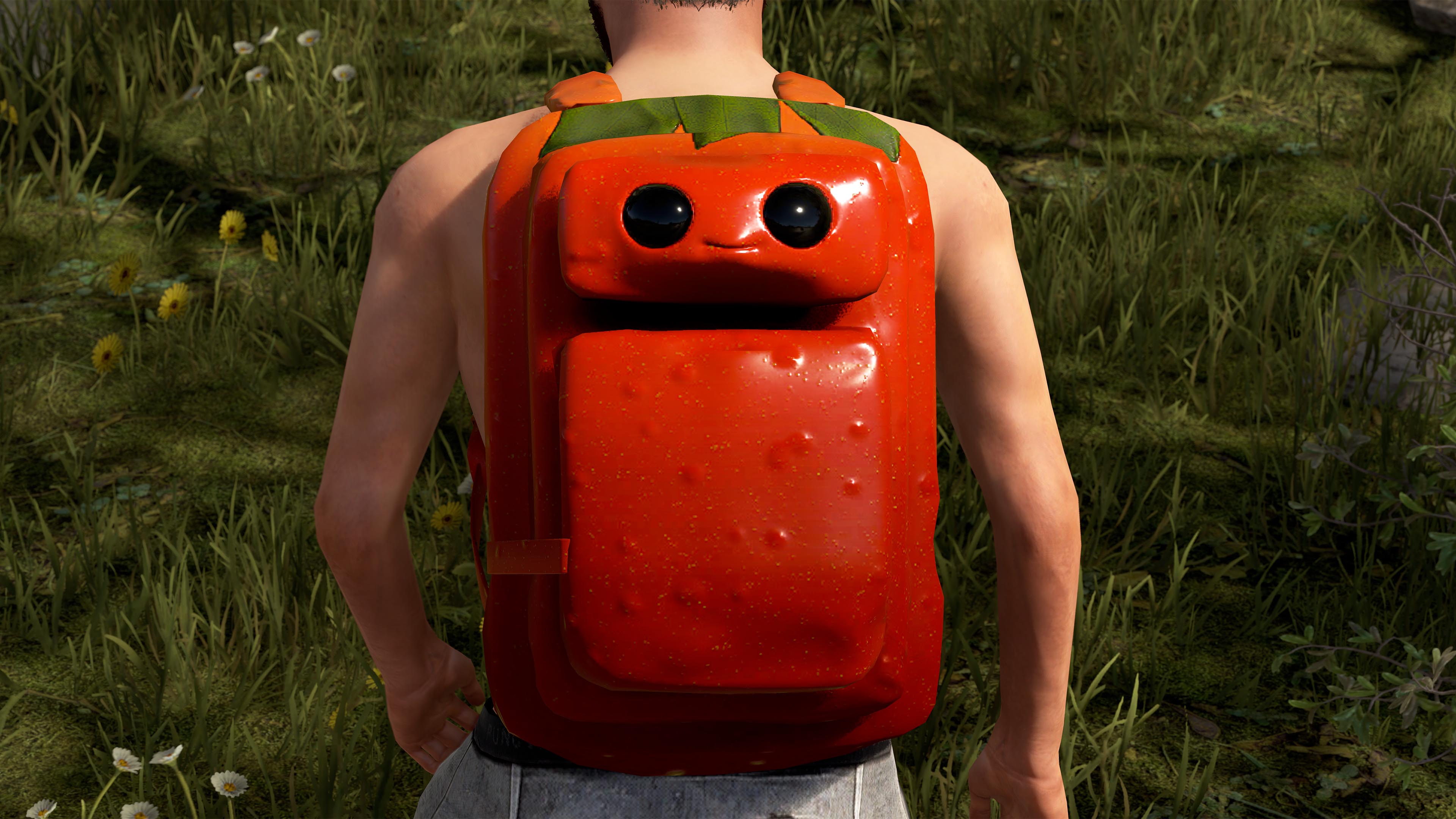 Señor Tomato Large Backpack screenshot 1