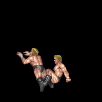 Ankle Lock