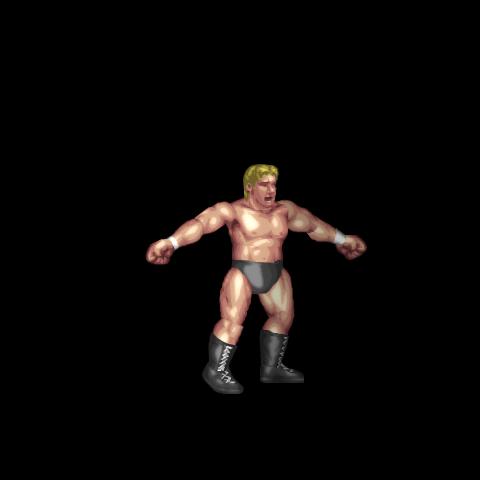 ベイダー筋肉アピール / Vader Muscle Taunt