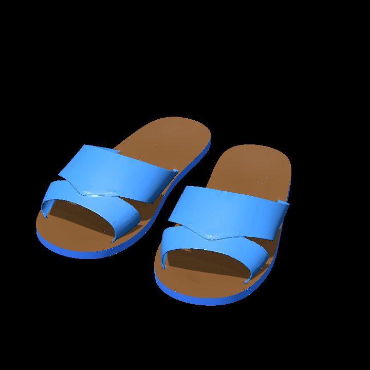 Slippers or sandals