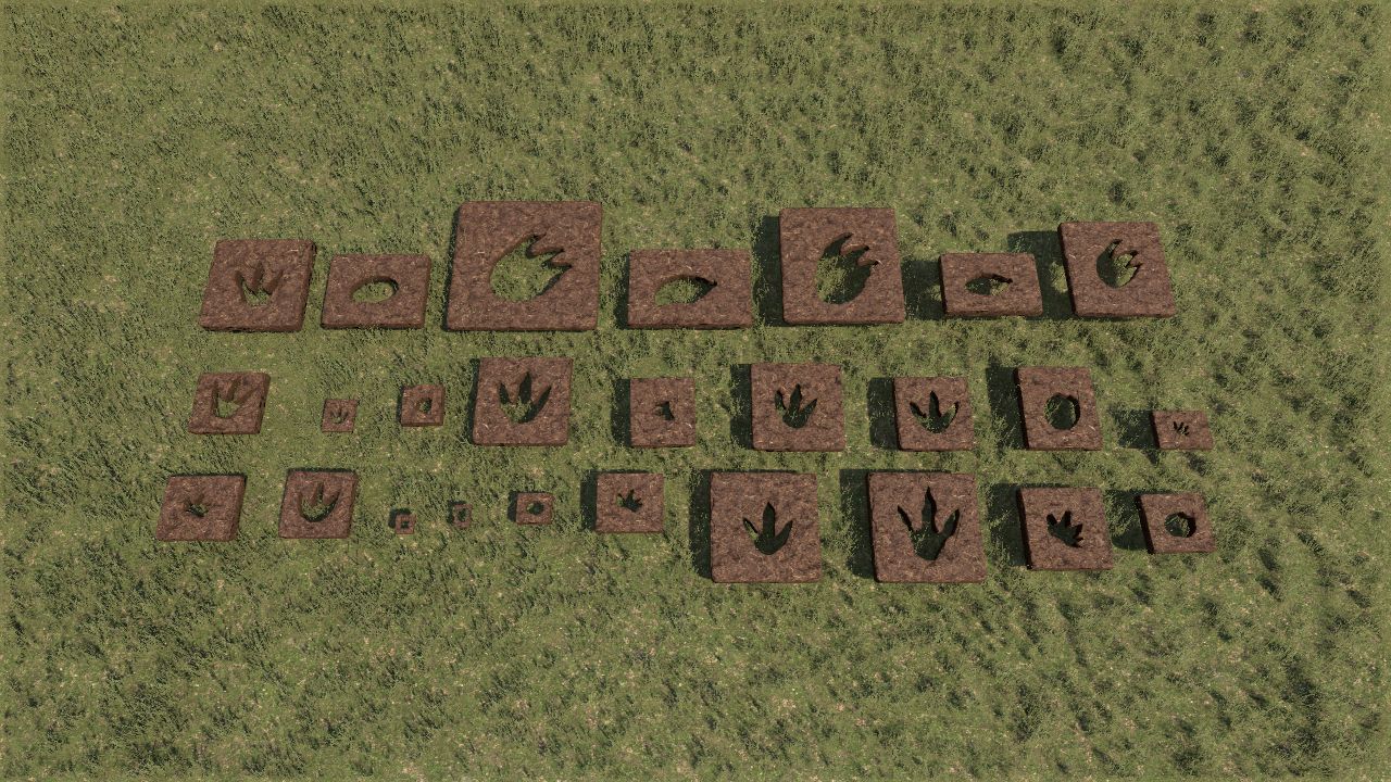  Footprints Pack