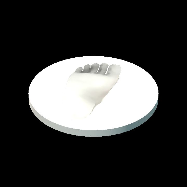 Bigfoot Token [Horizontal, L]