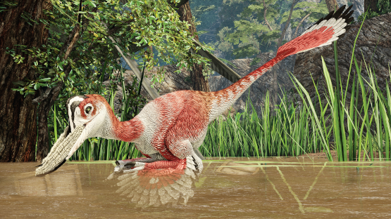 Pterodaustrovi Mutation (Free drop)