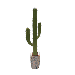 Moroccan plant pot with cactus