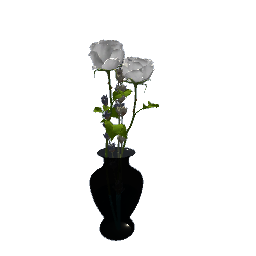 vase of roses